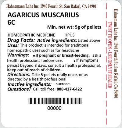 Agaricus Muscarius 6c 5g (Agaricus Muscarius 6c 5g)